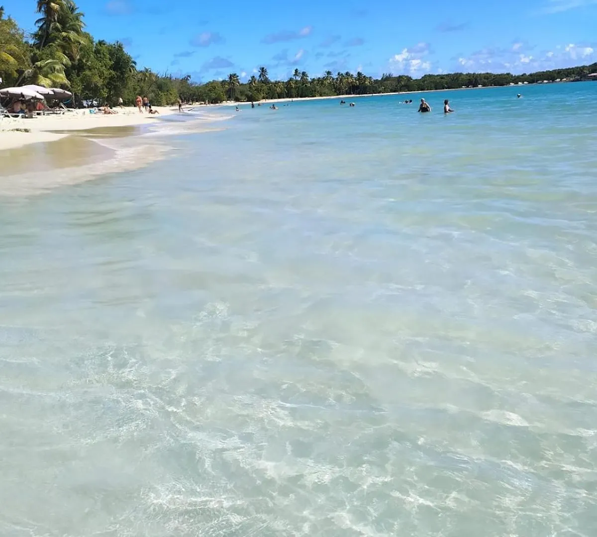 Apartment Joli Studio A 5 Min De La Plage Sainte-Anne